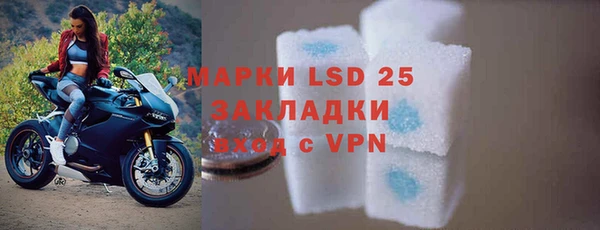 мдпв Михайлов