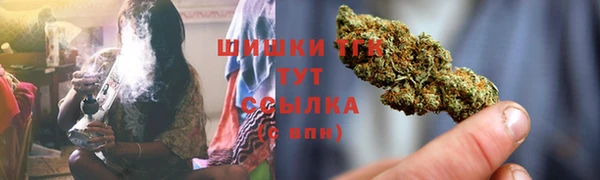 мдпв Михайлов