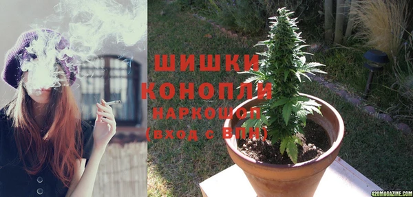 гашик Михайловка