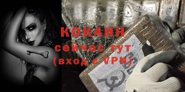 гашик Михайловка