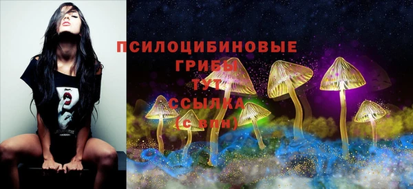 ГАЛЛЮЦИНОГЕННЫЕ ГРИБЫ Михайловск