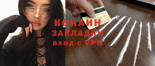 мдпв Михайлов