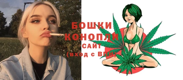 гашик Михайловка